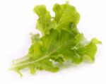 VÉritable (Франция) Пълнител (лингот) Oakleaf Lettuce Organic за настолна градина Véritable® - маруля дъбов лист (VLIN-L5-Lai019)