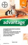  Advantage 40 rácsepegtető oldat kistestű (4 kg alatt) macskáknak és nyulaknak A. U. V. 1x