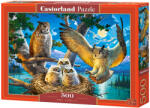 Castorland Puzzle Castorland din 500 de piese - Familia bufnite (B-53322) Puzzle