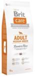 Brit Adult Medium Breed Lamb & Rice 12+2 kg