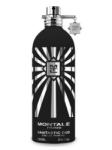Montale Fantastic Oud EDP 100 ml Tester Parfum