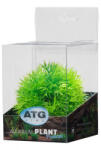ATG line ATG Prémium növény Mini (8-14cm) 209
