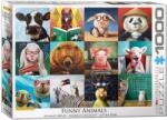 EUROGRAPHICS 1000 db-os puzzle - Funny Animals, Lucia Heffernan (6000-5524) (6000-5524)