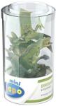 Papo Set Dinozauri 6 Minifigurine (P33019) Figurina