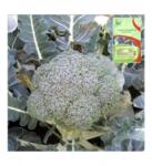 SemPlus Seminte de broccoli, Stromboli F1, 1000 seminte, Hazera