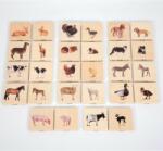 TickiT Gaseste perechea: animale domestice (CD73406)