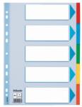 Esselte Separatoare Esselte carton A4 5 taste multicolor (ESS100191)