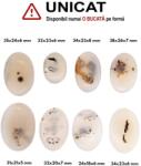  Cabochon Agata Montana de Forma Ovala - 24-38 x 18-26 x 5-7 mm