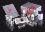  ScheBo M2-PK EDTA PLASMA TESZT ELISA Kit (szérumból) (SUN133)