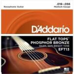 Daddario EFT 13 Flat Tops Resophonic
