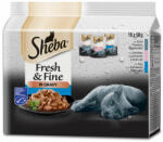 Sheba Fresh & Fine Mini - somon si ton 15 x 50 g