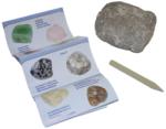 Piatnik Minerals Fossils meglepetés kőzet (616427)
