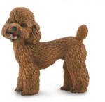 CollectA Figurina catel Pudel M (COL88880M) Figurina