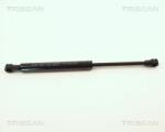 TRISCAN Amortizor capota TRISCAN 8710 11109 (8710 11109) - automobilus
