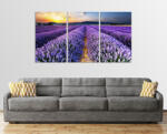  Levendulamező Tihany 3 Részes Vászonkép (172)