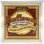 Ernie Ball Earthwood 80/20 Bronze Banjo Bluegrass