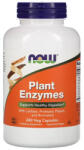NOW Plant Enzymes, (Enzime din Plante), Now Foods, 240 capsule