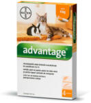 Bayer Advantage 40 spot-on macskáknak és nyulaknak 4kg-ig - 4 adag