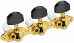 Schaller HGO 1-1 Baseplate 3 L Gold Cheiță de chitară (10330563.30.13)
