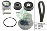 Schaeffler INA Set pompa apa + curea dintata Schaeffler INA 530 0078 30 (530 0078 30)