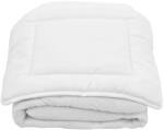 vidaXL Set pilotă de vară copii, 2 piese, alb, 100x135 cm/40x60 cm (134223) Patura