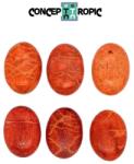  Cabochon Coral Poros de Forma Ovala 24-25 x 18 x 6-7 mm - 1 Buc