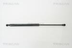 TRISCAN Amortizor capota TRISCAN 8710 10100 (8710 10100) - automobilus