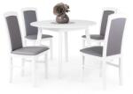 Divian Barbi szék Anita asztallal - 4 személyes étkezőgarnitúra
