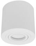 Palnas PALNAS-61003221 LARS Fehér színű Mennyezeti lámpa 1xGU10 10W IP20 (61003221)
