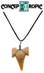  Pandantiv Fosil Naturala Dinte de Rechin - 24-32 x 16-25 mm - 1 Buc
