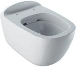 Geberit Citterio Rimfree 500.510.01.1