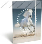 Lizzy Card Lovas/Blue Horse A/4 gumis dosszié (LI_2021_17149)