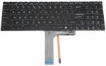 MSI Tastatura Laptop, MSI, MS-1781, MS-1782, MS-1783, MS-1785, MS-1795, RGB, layout us (msi2v2-NQ9)