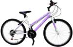 TEC Eros 26 Bicicleta