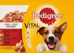 PEDIGREE Adult Mix 12x100 g