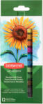 Derwent Creioane pastel DERWENT Academy Blendable Soft, 12 culori/set