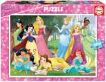 Educa Puzzle Disney Princess Educa 500 piese cu lipici Fix puzzle de la 11 ani (EDU17723) Puzzle