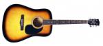 PULSE Guitars HW41-SB