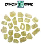  Apatit Verde cu Terminatie Intreaga Brut 6-11 x 6-9 mm - 1 Buc