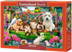 Castorland Puzzle Castorland din 1000 de piese - Animale de companie in parc, Howard Robinson (C-104406-2) Puzzle