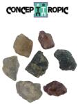  Cristal Natural Spinel Violet Burma Brut - 8-13 x 7-9 mm - 1 Buc