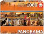 Educa Panoráma puzzle - Macskák a rakparton 1000 db-os (18001)
