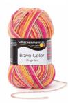 Schachenmayr Bravo Color fonal 5dkg színkód: 0095