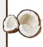 Natural Nutrition Tojásalbumin - szárított tojásfehérje 1kg Coconut