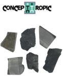  Shungit Rusia Brut 22-41 x 21-25 mm Mineral Natural - ( XL ) - 1 Buc