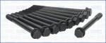 AJUSA Set surub, chiulasa AJUSA 81031500 (81031500)