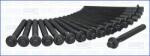 AJUSA Set surub, chiulasa AJUSA 81040300 (81040300)