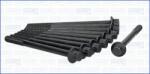 AJUSA Set surub, chiulasa AJUSA 81045100 (81045100)