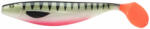 JAXON Shad Intensa Xxl 23cm C