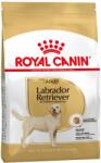 Royal Canin Hrana uscata pentru cainii adulti de rasa Labrador retriever 24 kg (2 x 12 kg)